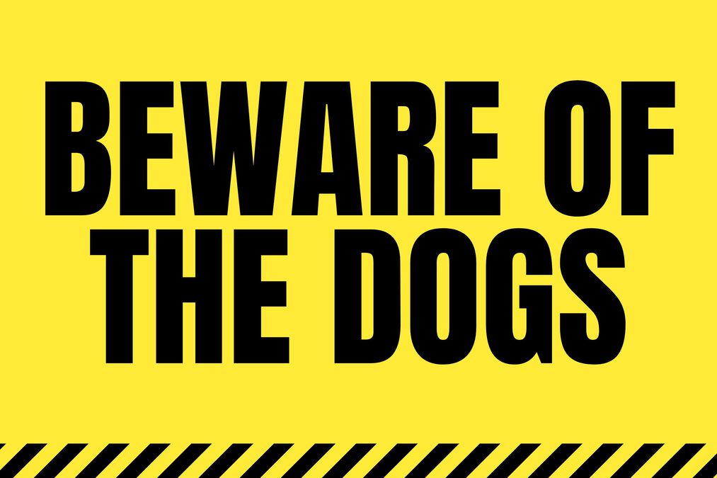 Beware of the Dogs image number null